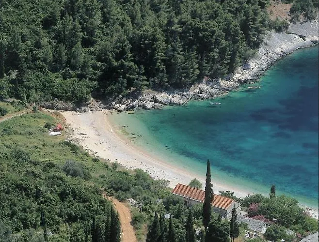 Karbuni