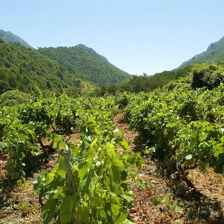 아파트 Karbuni Blato (Korcula)