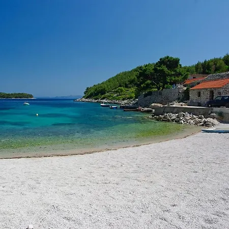 Karbuni Daire *