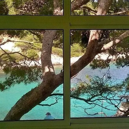 Karbuni Daire