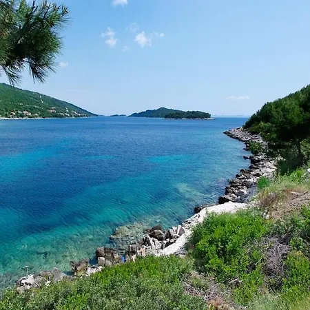 Karbuni Daire