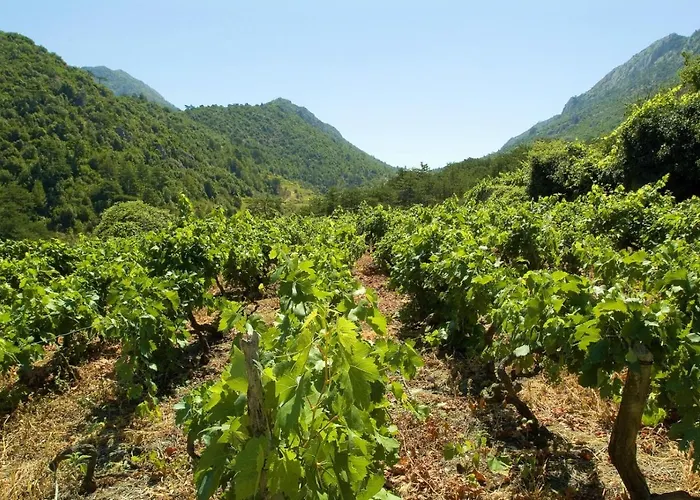 아파트 Karbuni Blato (Korcula)